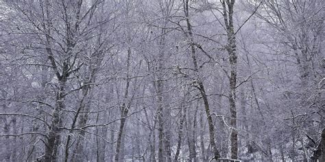 Calabria Meravigliosa Non Solo La Sila La Neve Arriva Anche A