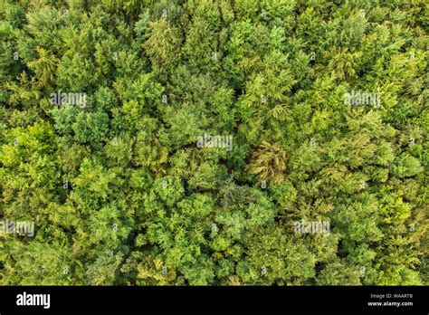 Green Park View From Above Aerial View Stock Photo Alamy