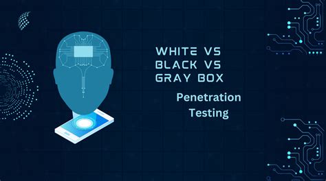 White Vs Black Vs Gray Box Penetration Testing NextdoorSEC