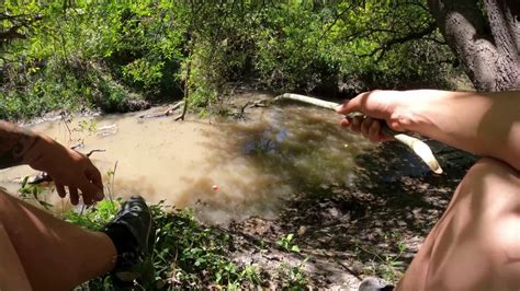 Encontramos una LAGUNA Increíble PESCA Y COCINA Bagres Sapo Fritos