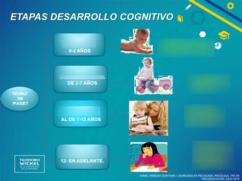 Etapas De La Psicología Del Desarrollo Vida Emocional