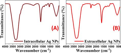 Ftir Spectra Of Intracellular A And Extracellular B Ag Nps