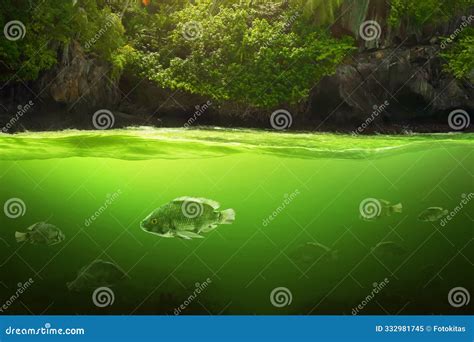 The Group Of Nile Crocodiles Crocodylus Niloticus Lying On The Sand In