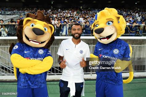 Chelsea Mascot Photos and Premium High Res Pictures - Getty Images