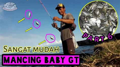 Mancing Baby Gt Menggunakan Mini Popper Dikombinasi Dengan Rangkaian