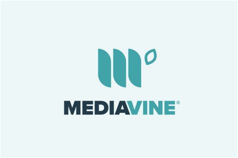 What Is Mediavine Ad Management And So Much More Mediavine