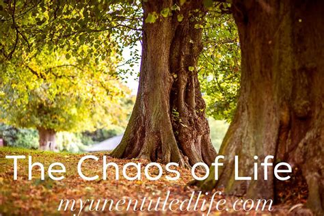 The Chaos Of Life