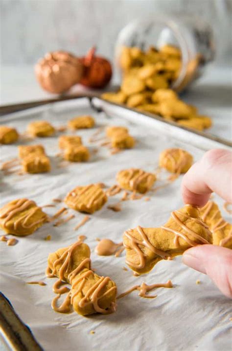 Soft Baked Peanut Butter Pumpkin Homemade Dog Treats • The Crumby Kitchen