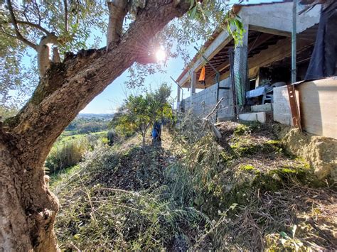 Quintas e casas rústicas Quintinha à venda na Rua Principal Madalena