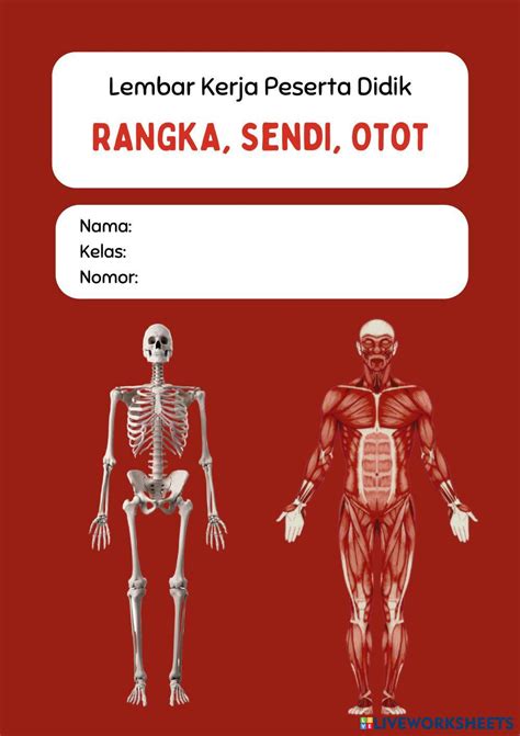 7424407 Lkpd Interaktif Sistem Rangka Sendi Dan Otot