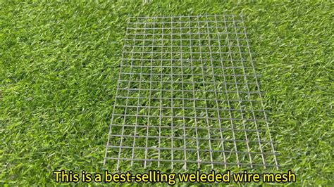Livestock Hot Galvanized Welded Wire Mesh Roll Chicken Coop Pvc Coated Welded Wire Mesh Pet Cage