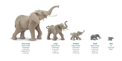 Size Chart Elephants African Elephant Size Chart - Clip Art Library