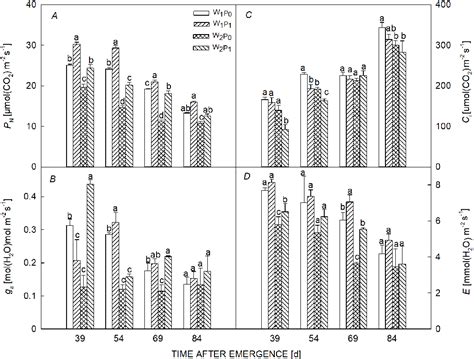 Figure From Cotton Leaf Photosynthetic Characteristics Biomass