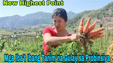 Iba T Ibang Tanim Na Gulay Sa Probinsiya Ng Tinoc Ifugao Youtube