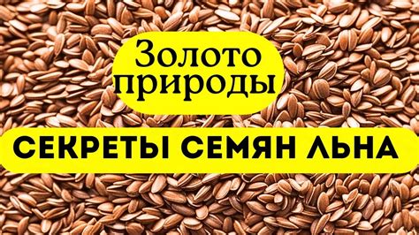Семена льна польза для организма. Полезные свойства семян льна - YouTube
