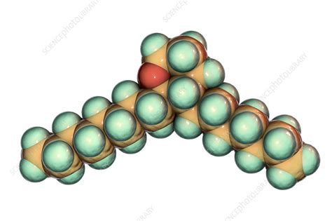 Thromboxane A2, molecular model - Stock Image - F024/3143 - Science ...