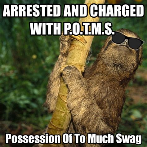 Sexual Sloth Meme