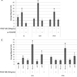 Migration Of Esc And Ipsc Derived Fibroblasts Towards Pdgf Stimulation