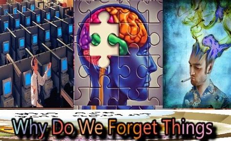 Why Do We Forget Things Preventing Memory Loss The Secret To