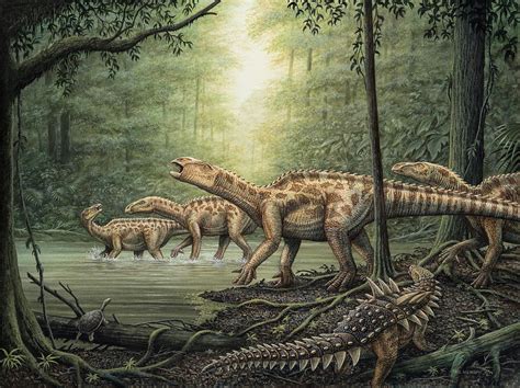 Herd Of Iguanodon Dinosaurs In Forest Photograph By Phil Wilson Pixels