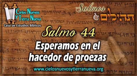 Estudio Salmo Esperamos En El Hacedor De Proezas Youtube