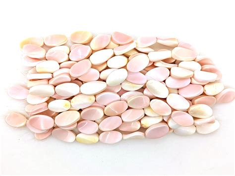 Pink Queen Conch Shell Oval Twist Beads Strand Itty Etsy