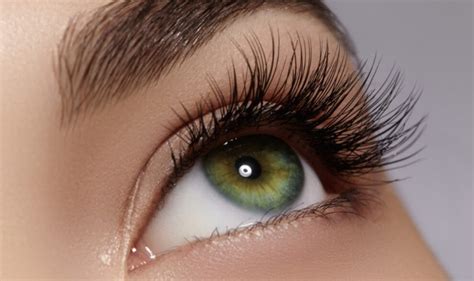 How To Create The Illusion Of Long Lashes Without Mascara Lash Masterclass