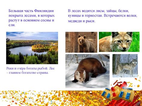 Страна Финляндия - презентация онлайн