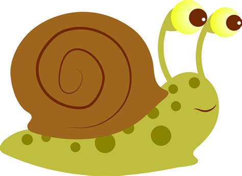 Caracol De Dibujos Animados Dibujo Imagen Png Imagen Transparente