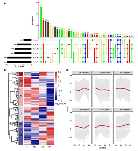 Analyses Of Differentially Expressed Genes Degs Of Golden Buckwheat