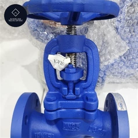 Jual Globe Valve Pn16 For Steam Cast Iron Flange 6 Inch Dn150 Pn 16 Jakarta Barat