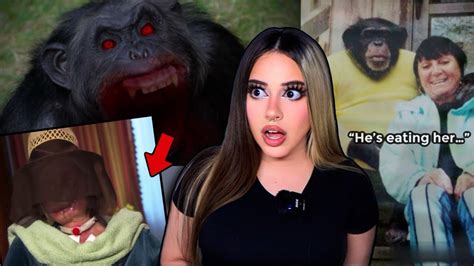 The Disturbing Story Of Travis The Chimp Youtube