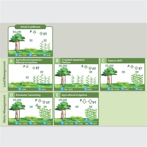 Scientific infographic design | Poster contest