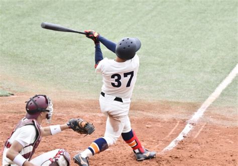 準硬式野球に関する記事一覧 スポーツ法政