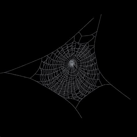 3D Spider Web Wallpapers - Top Free 3D Spider Web Backgrounds ...