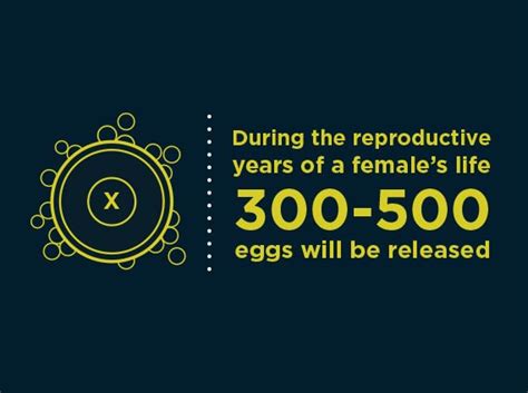 Sexual Reproduction Sex U