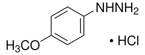 4 甲氧基苯肼 盐酸盐 95 Sigma Aldrich