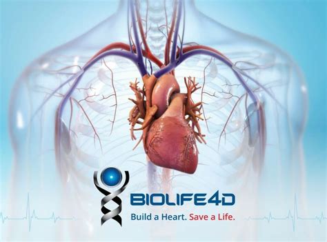 BIOLIFE4D Successfully 3D Bioprints Human Heart Tissue Legacy MEDSearch