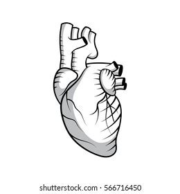 Hand Fuck Vector Illustration Stock Vector Royalty Free Shutterstock