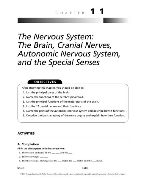 Pdf The Nervous System The Brain Cranial Nerves Autonomic