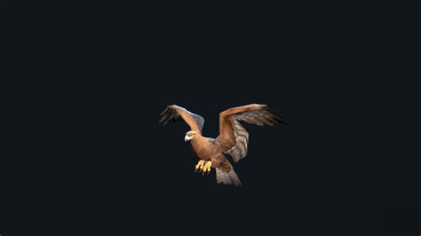 Eagle Animation 3D Model - TurboSquid 2006373