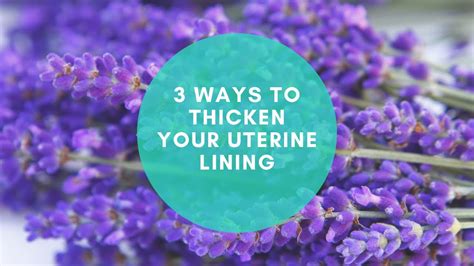 Ways To Thicken Your Uterine Lining Youtube