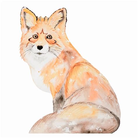 Premium Vector | Watercolor fox illustration Red sitting fox