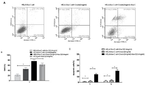 Crocin Combined With Ara C Induced Apoptosis And Cell Cycle Arrest Of