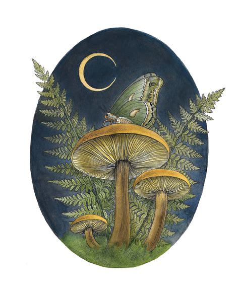 Watercolor Mushroom Art With Ferns And Moth Botanical Etsy In 2023