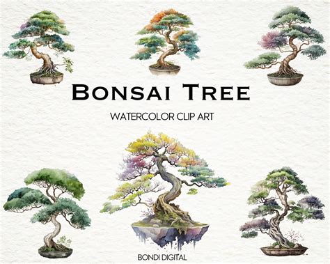 Bonsai Tree Watercolor