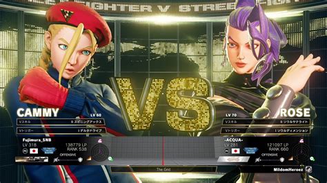 Fujimura Cammy Vs Acqua Rose Vs Youtube