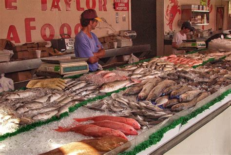 Fresh Fishes in Fish Market · Free Stock Photo