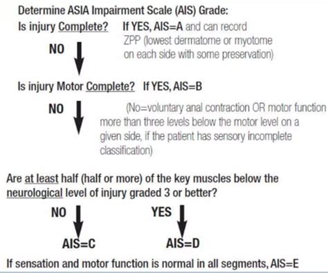 Asia American Spinal Injury Association Chart Dr Mahmood