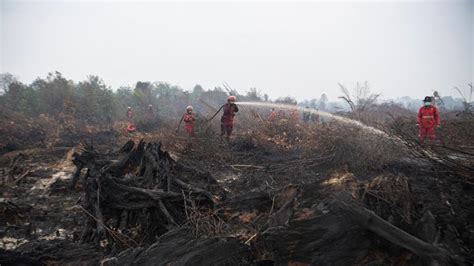 worst floods  history devastating  catastrophic environment